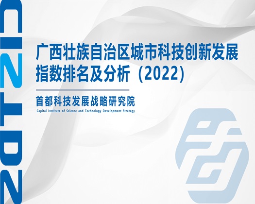 大鸡巴操逼毛片【成果发布】广西壮族自治区城市科技创新发展指数排名及分析（2022）